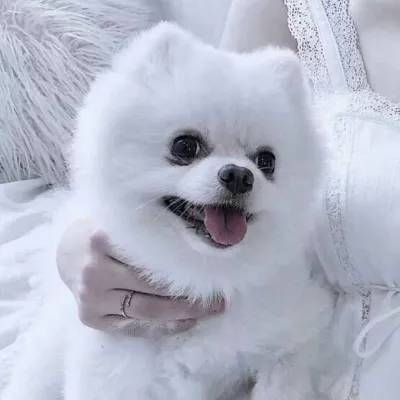 三国战记hd手机版下载