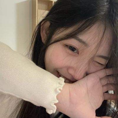 口袋里的政治汉化版下载